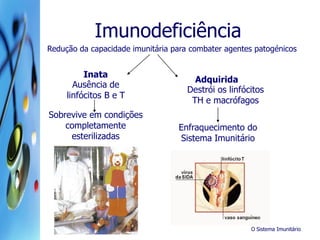 O Sistema Imunitário
Imunodeficiência
Redução da capacidade imunitária para combater agentes patogénicos
Inata
Adquirida
Ausência de
linfócitos B e T
Sobrevive em condições
completamente
esterilizadas
Destrói os linfócitos
TH e macrófagos
Enfraquecimento do
Sistema Imunitário
 