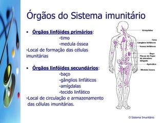 O Sistema Imunitário
Órgãos do Sistema imunitário
• Órgãos linfóides primários:
-timo
-medula óssea
›Local de formação das células
imunitárias
• Órgãos linfóides secundários:
-baço
-gânglios linfáticos
-amígdalas
-tecido linfático
›Local de circulação e armazenamento
das células imunitárias.
 