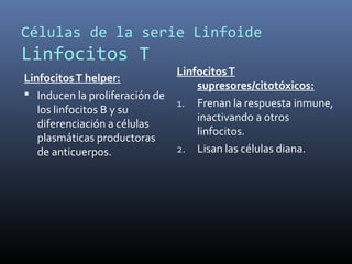 Células de la serie Linfoide
Linfocitos T
LinfocitosT helper:
 Inducen la proliferación de
los linfocitos B y su
diferenciación a células
plasmáticas productoras
de anticuerpos.
LinfocitosT
supresores/citotóxicos:
1. Frenan la respuesta inmune,
inactivando a otros
linfocitos.
2. Lisan las células diana.
 