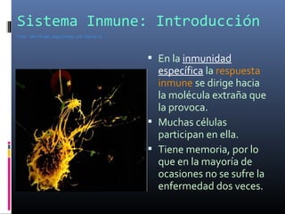 Sistema Inmune: Introducción
Foto: Macrófago engullendo una bacteria
 En la inmunidad
específica la respuesta
inmune se dirige hacia
la molécula extraña que
la provoca.
 Muchas células
participan en ella.
 Tiene memoria, por lo
que en la mayoría de
ocasiones no se sufre la
enfermedad dos veces.
 