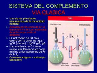 SISTEMA DEL COMPLEMENTO
VIA CLASICA
 Uno de los principales
mecanismos de la inmunidad
humoral
 Activada por la unión de C1 a
la porción Fc de Las moléculas
de anticuerpo unido al
antigeno
 La activación de C1 solo
ocurre con la unión de :IgG1,
IgG2 (menos) o IgG3,IgM, IgA.
 Una molécula de C1 debe
unirse simultáneamente como
mínimo a dos porciones de Fc
de la Ig
 Complejos antigeno – anticuerpo
(activacion)
 