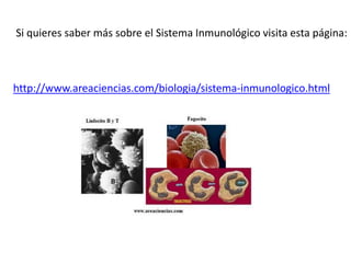 Si quieres saber más sobre el Sistema Inmunológico visita esta página:
http://www.areaciencias.com/biologia/sistema-inmuno...