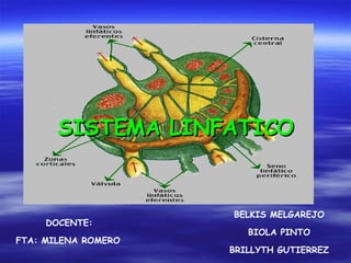 SISTEMA LINFATICO BELKIS MELGAREJO BIOLA PINTO BRILLYTH GUTIERREZ DOCENTE: FTA: MILENA ROMERO 