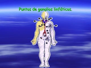 Puntos de ganglios linfáticos. 