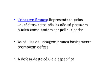 • Linhagem Branca: Representada pelos
Leucócitos, estas células não só possuem
núcleo como podem ser polinucleadas.
• As células da linhagem branca basicamente
promovem defesa
• A defesa desta célula é especifica.
 