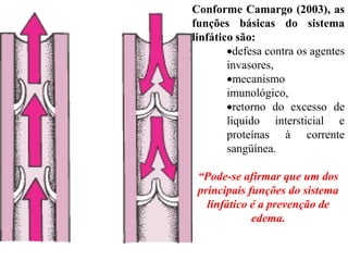 Conforme Camargo (2003), as
funções básicas do sistema
linfático são:
defesa contra os agentes
invasores,
mecanismo
imunológico,
retorno do excesso de
liquido intersticial e
proteínas à corrente
sangüínea.
“Pode-se afirmar que um dos
principais funções do sistema
linfático é a prevenção de
edema.
 