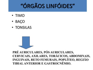 “ÓRGÃOS LINFÓIDES”
• TIMO
• BAÇO
• TONSILAS
PRÉ AURICULARES, PÓS AURICULARES,
CERVICAIS, AXILARES, TORÁCICOS, ABDOMINAIS,
INGUINAIS, RETO FEMURAIS, POPLÍTEO, REGIÃO
TIBIALANTERIOR E GASTROCNÊMIO.
 