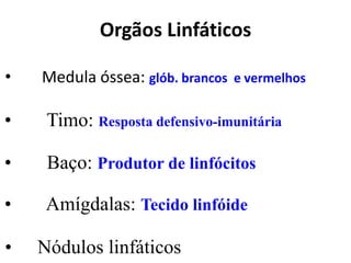 Orgãos Linfáticos
• Medula óssea: glób. brancos e vermelhos
• Timo: Resposta defensivo-imunitária
• Baço: Produtor de linfócitos
• Amígdalas: Tecido linfóide
• Nódulos linfáticos
 
