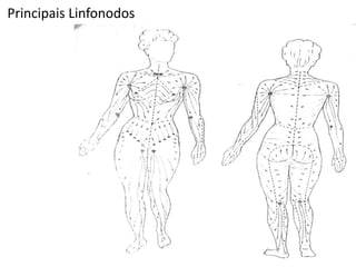 Principais Linfonodos
 