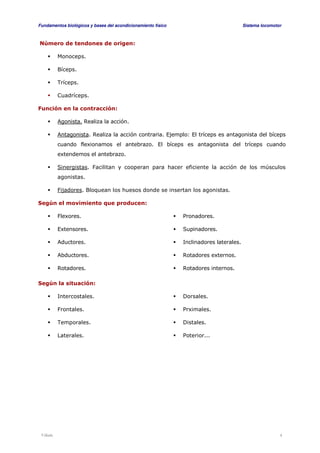 Fundamentos biológicos y bases del acondicionamiento físico Sistema locomotor 
Número de tendones de origen: 
 Monoceps. 
 Bíceps. 
 Tríceps. 
 Cuadríceps. 
Función en la contracción: 
 Agonista. Realiza la acción. 
 Antagonista. Realiza la acción contraria. Ejemplo: El tríceps es antagonista del bíceps 
cuando flexionamos el antebrazo. El bíceps es antagonista del tríceps cuando 
extendemos el antebrazo. 
 Sinergistas. Facilitan y cooperan para hacer eficiente la acción de los músculos 
agonistas. 
 Fijadores. Bloquean los huesos donde se insertan los agonistas. 
Según el movimiento que producen: 
 Flexores. 
 Extensores. 
 Aductores. 
 Abductores. 
 Rotadores. 
 Pronadores. 
 Supinadores. 
 Inclinadores laterales. 
 Rotadores externos. 
 Rotadores internos. 
Según la situación: 
 Intercostales. 
 Frontales. 
 Temporales. 
 Laterales. 
 Dorsales. 
 Prximales. 
 Distales. 
 Poterior... 
Viñals 4 
 