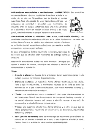 Fundamentos biológicos y bases del acondicionamiento físico Sistema locomotor 
Articulaciones semi-móviles o cartilaginosas; AMFIARTROSIS: Dos superficies 
articulares planas o cóncavas recubiertas de cartílago articular y en 
medio de los dos un fibrocartílago que se inserta en ambas 
superficies. Todo ello rodeado de unos ligamentos periféricos. La 
articulación es semimóvil y presentan poco movimiento. Se 
encuentra entre los cuerpos vertebrales. Cada una de las vértebras 
de la columna se mueve en relación con la de arriba y la de abajo; 
juntos, estos movimientos le otorgan flexibilidad a la columna. 
Articulaciones móviles o sinoviales DIARTROSIS (Articulación sinovial): Las 
principales articulaciones del cuerpo (ubicadas en la cadera, los hombros, los codos, las 
rodillas, las muñecas y los tobillos) son totalmente móviles. Contienen 
de un líquido sinovial, que actúa como lubricante para ayudar a que las 
articulaciones se muevan con facilidad. 
En estas articulaciones de libre movimiento y sinoviales, los bordes de 
los huesos que se articulan están recubiertos de cartílago hialino (o 
articular). 
Este tipo de articulaciones puede o no tener meniscos. Cartílagos que 
ayudan a encajar los huesos, amortiguar las presiones y facilitar el 
movimiento de la articulación. 
Tipos: 
• Artrodia o plana: Los huesos de la articulación tienen superficies planas y sólo 
realizan pequeños movimientos de deslizamiento. 
• Enartrosis o esférica: Un hueso tiene forma esférica y la otra cavidad se adapta. 
Tiene 3 ejes de movimiento. El movimiento resultado de la suma de todos los 
derivados de los 3 ejes se llama circunducción. (dar vueltas formando un cono) Ej. 
articulación del húmero con la escápula. 
• Cóndilo: Una superficie articular es convexa en 2 direcciones y la otra cóncava en 
las 2 direcciones. Tiene 2 ejes de movimiento: eje transversal (flexión y extensión) y 
eje sagital (abducción -separar del cuerpo- y aducción -acercar al cuerpo-). Se 
corresponde a la articulación carpo- metacarpiana. 
• Tróclea: Una superficie articular tiene forma cilíndrica y la otra cóncava que se 
adapta completamente. Movimiento en una dirección, eje transversal, movimientos 
de flexión y extensión. 
• Selar (en silla de montar): tiene los mismos ejes de movimiento que el cóndilo. Es 
cóncava en un sentido y convexa en el otro, la otra superficie articular al revés. 
Ejemplo típico es la articulación trapeciometarcarpiana del pulgar. 
Viñals 9 
 