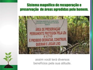 Sistema magnífico de recuperação e
preservação de áreas agredidas pelo homem.
assim você terá diversos
benefícios pela sua atitude.
 