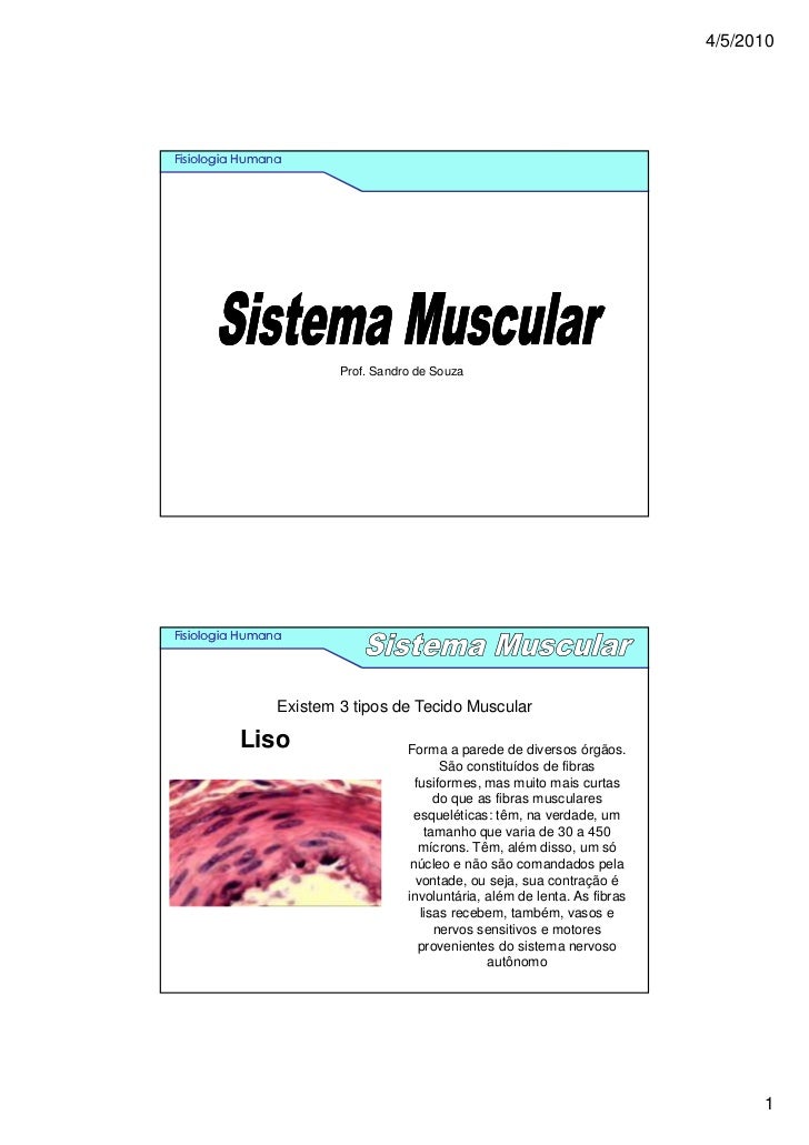 4/5/2010Fisiologia Humana                        Prof. Sandro de SouzaFisiologia Humana                Existem 3 tipos de ...
