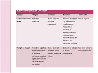 MÚSCULOS QUE MUEVEN LA CABEZA
Músculo Origen Inserción Función Inervación
Esternocleidomast
oideo
Esternón
Clavícula
Hueso temporal
(apófisis
mastoides)
Flexiona la cabeza
Un solo musculo
rota la cabeza
hacia el lado
opuesto; el
espasmo de este
músculo, solo o
asociado con el del
trapecio, se
denomina tortícolis
Nervio espinal
Complexo mayor Vértebras (apófisis
transversas de las
6 primeras
vertebras dorsales,
apófisis articulares
de las 4 ultimas
cervicales)
Hueso occipital
(entre las líneas
nucales superior e
inferior)
Extiende la cabeza;
la inclina
lateralmente
Los cinco primeros
nervios cervicales
 