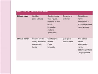 MÚSCULOS DE LA PARED ABDOMINAL
Oblicuo mayor Costillas
(ocho ultimas)
Coxales (cresta
iliaca y pubis,
mediante el arco
crural)
Línea alba,
mediante
aponeurosis
Comprime el
abdomen
Siete últimos
nervios
intercostales y
abdominogenitales
mayor y menor.
Oblicuo menor Coxales (cresta
iliaca y arco crural)
Aponeurosis
lumbar
Costillas (tres
ultimas)
Pubis
Línea alba
Igual que el
oblicuo mayor
Tres últimos
nervios
intercostales;
nervios
abdominogenitales
, mayor y menor
 