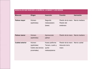MÚSCULOS QUE MUEVEN LA MUÑECA, LA MANO Y LOS DEDOS
Músculo Origen Inserción Función Inervación
Palmar mayor Húmero
(epitróclea)
Segundo
metacarpiano
(base)
Flexión de la mano
Flexión del
antebrazo
Nervio mediano
Palmar menor Húmero
(epitróclea)
Aponeurosis
palmar
Flexión de la mano Nervio mediano
Cubital anterior Húmero
(epitróclea)
Cúbito (dos tercios
proximales)
Hueso pisiforme
Tercero, cuarto y
quinto
metacarpianos
Flexión de la mano
Aducción de la
mano
Nervio cubital
 