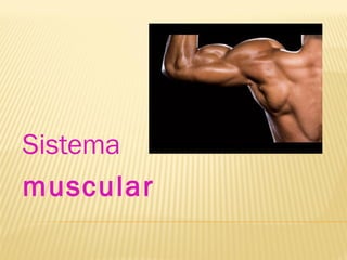 Sistema
muscular
 