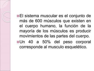 El sistema muscular es el conjunto de
más de 600 músculos que existen en
el cuerpo humano, la función de la
mayoría de lo...