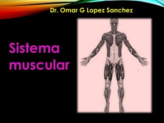 Sistema
muscular
Dr. Omar G Lopez Sanchez
 