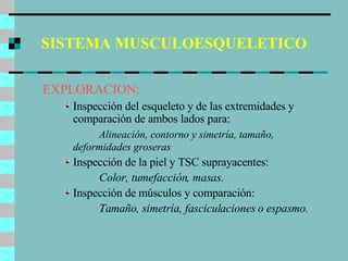 SISTEMA MUSCULOESQUELETICO EXPLORACION: Inspección del esqueleto y de las extremidades y comparación de ambos lados para: Alineación, contorno y simetría, tamaño,  deformidades groseras Inspección de la piel y TSC suprayacentes: Color, tumefacción, masas. Inspección de músculos y comparación: Tamaño, simetría, fasciculaciones o espasmo. 