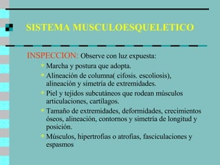 SISTEMA MUSCULOESQUELETICO INSPECCION:  Observe con luz expuesta: Marcha y postura que adopta. Alineación de columna( cifosis. escoliosis), alineación y simetría de extremidades. Piel y tejidos subcutáneos que rodean músculos articulaciones, cartílagos. Tamaño de extremidades, deformidades, crecimientos óseos, alineación, contornos y simetría de longitud y posición. Músculos, hipertrofias o atrofias, fasciculaciones y espasmos 