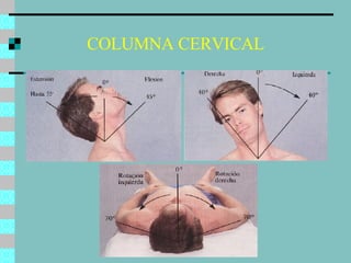 COLUMNA CERVICAL 