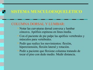 SISTEMA MUSCULOESQUELETICO COLUMNA DORSAL Y LUMBAR: Notar las curvaturas dorsal convexa y lumbar cóncava. Apófisis espinosa en línea media. Con el paciente de pie palpe las apófisis vertebrales y músculos para vertebrales. Pedir que realice los movimientos: flexión, hiperextensión, flexión lateral y rotación. Pedir a paciente que flexione columna tratando de tocar el piso con dedo medio. Medir distancia.  