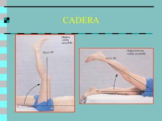 CADERA 