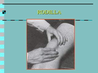 RODILLA 