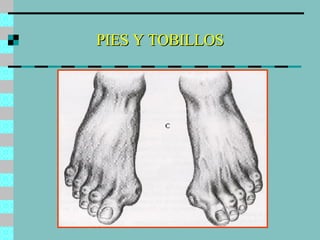 PIES Y TOBILLOS 