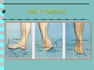 PIES Y TOBILLOS 