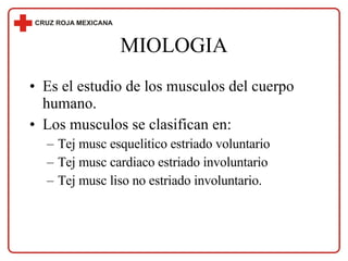 MIOLOGIA Es el estudio de los musculos del cuerpo humano. Los musculos se clasifican en: Tej musc esquelitico estriado voluntario Tej musc cardiaco estriado involuntario Tej musc liso no estriado involuntario. 