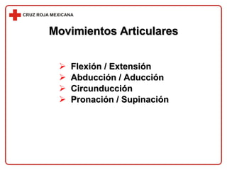Movimientos Articulares Flexión / Extensión Abducción / Aducción Circunducción Pronación / Supinación 