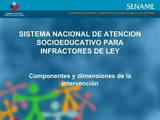 SISTEMA NACIONAL DE ATENCION SOCIOEDUCATIVO PARA INFRACTORES DE LEY Componentes y dimensiones de la intervención 