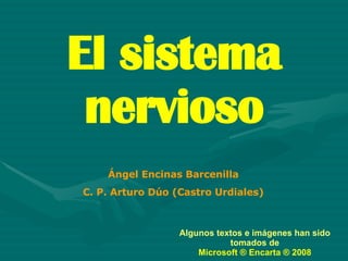 El sistema nervioso Ángel Encinas Barcenilla C. P. Arturo Dúo (Castro Urdiales) Algunos textos e imágenes han sido tomados de Microsoft ® Encarta ® 2008 