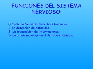 FUNCIONES DEL SISTEMA NERVIOSO: El Sistema Nervioso tiene tres funciones: 1- La detección de estímulos. 2- La transmisión de informaciones. 3- La organización general de todo el cuerpo.