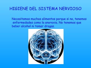 HIGIENE DEL SISTEMA NERVIOSO Necesitamos muchos alimentos porque si no, tenemos  enfermedades como la anorexia. No tenemos que  beber alcohol ni tomar drogas. 