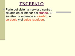 ENCEFALO Parte del sistema nervioso central, situado en el interior del  cráneo . El encéfalo comprende el  cerebro , el  cerebelo  y el  bulbo raquídeo .  