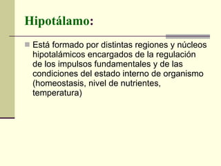 Hipotálamo : Está formado por distintas regiones y núcleos hipotalámicos encargados de la regulación de los impulsos fundamentales y de las condiciones del estado interno de organismo (homeostasis, nivel de nutrientes, temperatura) 