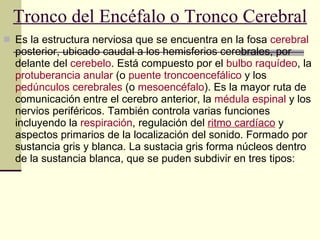 Es la estructura nerviosa que se encuentra en la fosa  cerebral  posterior, ubicado caudal a los hemisferios cerebrales, por delante del  cerebelo . Está compuesto por el  bulbo raquídeo , la  protuberancia anular  (o  puente troncoencefálico  y los  pedúnculos cerebrales  (o  mesoencéfalo ). Es la mayor ruta de comunicación entre el cerebro anterior, la  médula espinal  y los nervios periféricos. También controla varias funciones incluyendo la  respiración , regulación del  ritmo cardíaco  y aspectos primarios de la localización del sonido. Formado por sustancia gris y blanca. La sustacia gris forma núcleos dentro de la sustancia blanca, que se puden subdivir en tres tipos: Tronco del Encéfalo o Tronco Cerebral 