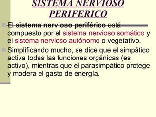 SISTEMA NERVIOSO PERIFERICO El  sistema nervioso periférico  está compuesto por el  sistema nervioso somático  y el  sistema nervioso autónomo  o vegetativo.  Simplificando mucho, se dice que el simpático activa todas las funciones orgánicas (es activo), mientras que el parasimpático protege y modera el gasto de energía . 