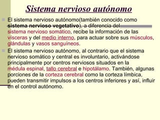 Sistema nervioso autónomo   El sistema nervioso autónomo(también conocido como  sistema nervioso vegetativo ), a diferencia del  sistema nervioso somático , recibe la información de las  vísceras  y del  medio interno , para actuar sobre sus  músculos ,  glándulas  y  vasos sanguíneos . El sistema nervioso autónomo, al contrario que el sistema nervioso somático y central es involuntario, activándose principalmente por centros nerviosos situados en la  médula espinal ,  tallo cerebral  e  hipotálamo . También, algunas porciones de la  corteza cerebral  como la corteza límbica, pueden transmitir impulsos a los centros inferiores y así, influir en el control autónomo. 