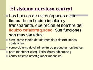 El  sistema nervioso central Los huecos de estos órganos están llenos de un líquido incoloro y transparente, que recibe el nombre del  líquido cefalorraquídeo . Sus funciones son muy variadas:  sirve como medio de intercambio a determinadas sustancias;  como sistema de eliminación de productos residuales;  para mantener el equilibrio iónico adecuado y  como sistema amortiguador mecánico. 