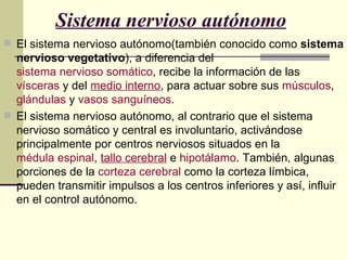 Sistema nervioso autónomo
 El sistema nervioso autónomo(también conocido como sistema
  nervioso vegetativo), a diferencia del
  sistema nervioso somático, recibe la información de las
  vísceras y del medio interno, para actuar sobre sus músculos,
  glándulas y vasos sanguíneos.
 El sistema nervioso autónomo, al contrario que el sistema
  nervioso somático y central es involuntario, activándose
  principalmente por centros nerviosos situados en la
  médula espinal, tallo cerebral e hipotálamo. También, algunas
  porciones de la corteza cerebral como la corteza límbica,
  pueden transmitir impulsos a los centros inferiores y así, influir
  en el control autónomo.
 