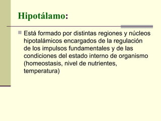 Hipotálamo:
 Está formado por distintas regiones y núcleos
hipotalámicos encargados de la regulación
de los impulsos fundamentales y de las
condiciones del estado interno de organismo
(homeostasis, nivel de nutrientes,
temperatura)
 