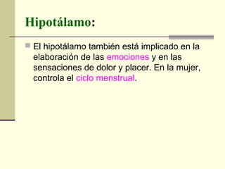 Hipotálamo:
 El hipotálamo también está implicado en la
elaboración de las emociones y en las
sensaciones de dolor y placer. En la mujer,
controla el ciclo menstrual.
 