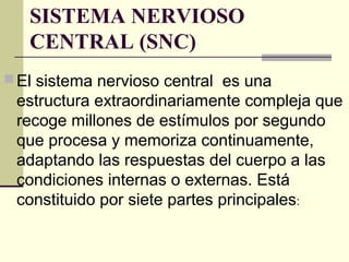 SISTEMA NERVIOSO
CENTRAL (SNC)
El sistema nervioso central es una
estructura extraordinariamente compleja que
recoge millones de estímulos por segundo
que procesa y memoriza continuamente,
adaptando las respuestas del cuerpo a las
condiciones internas o externas. Está
constituido por siete partes principales:
 