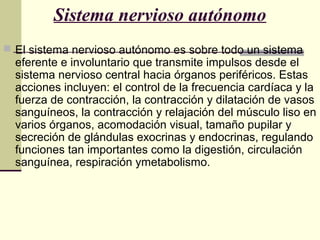 Sistema nervioso autónomo
 El sistema nervioso autónomo es sobre todo un sistema
eferente e involuntario que transmite impulsos desde el
sistema nervioso central hacia órganos periféricos. Estas
acciones incluyen: el control de la frecuencia cardíaca y la
fuerza de contracción, la contracción y dilatación de vasos
sanguíneos, la contracción y relajación del músculo liso en
varios órganos, acomodación visual, tamaño pupilar y
secreción de glándulas exocrinas y endocrinas, regulando
funciones tan importantes como la digestión, circulación
sanguínea, respiración ymetabolismo.
 