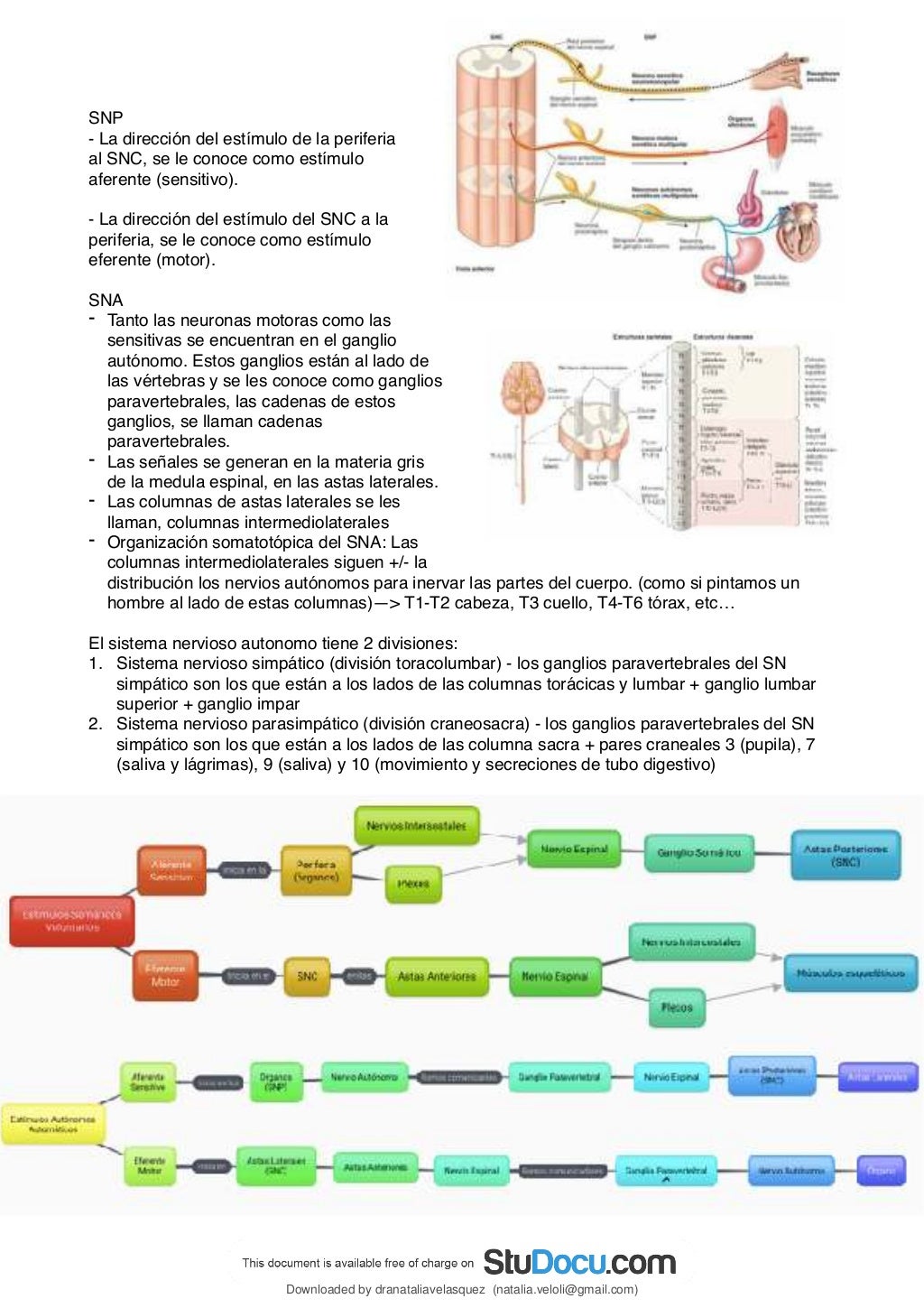 sistema-nervioso-anatomia-basado-en-el-moore-edicion-8(1).pdf