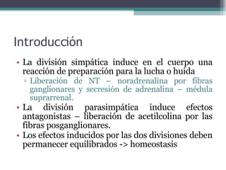 Introducción La división simpática induce en el cuerpo una reacción de preparación para la lucha o huida Liberación de NT – noradrenalina por fibras ganglionares y secresión de adrenalina – médula suprarrenal. La división parasimpática induce efectos antagonistas – liberación de acetilcolina por las fibras posganglionares. Los efectos inducidos por las dos divisiones deben permanecer equilibrados -> homeostasis 